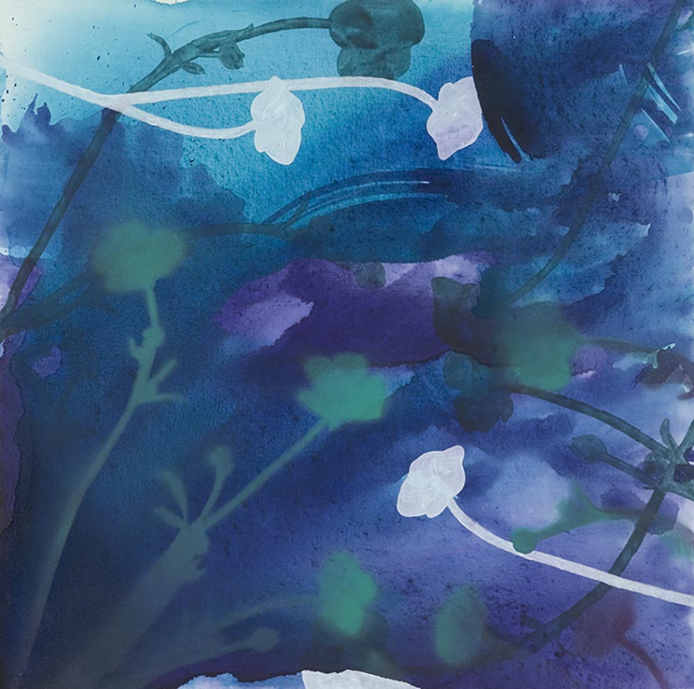 Andrea McCuaig Day Dream Mystery IV 2007 Acrylic on canvas 50 x 50cm