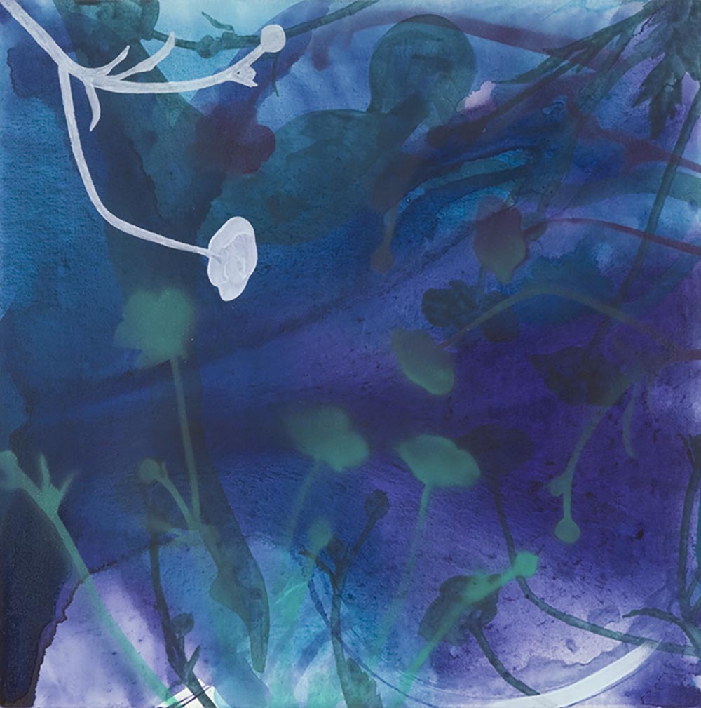 Andrea McCuaig Day Dream Mystery V 2007 Acrylic on canvas 50 x 50cm